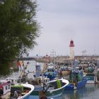 île d'oléron, la cotinière 2