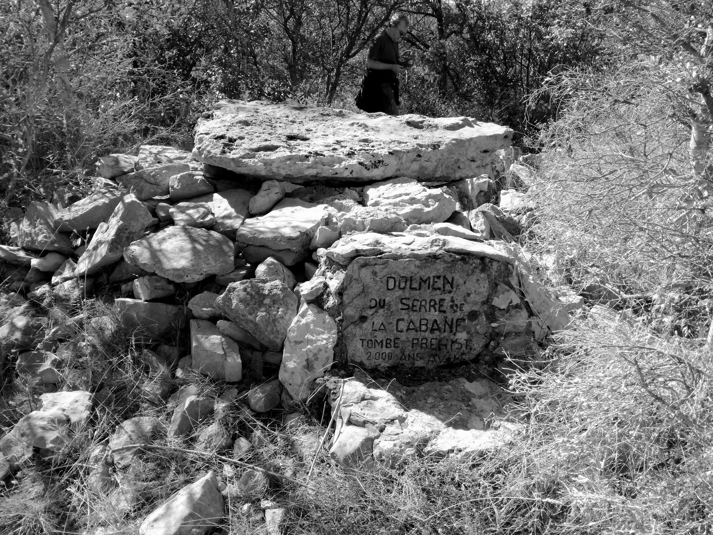 Le dolmen de Bagard (30)