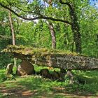 Le dolmen de La Pierre-Pèse
