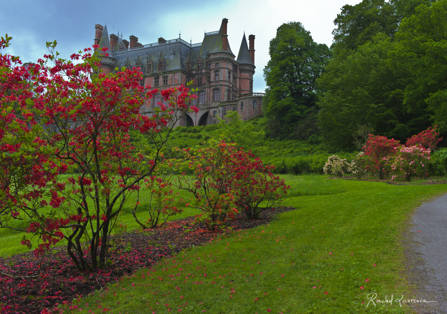 Le domaine de Trévarez avec sa saison des rhododendrons