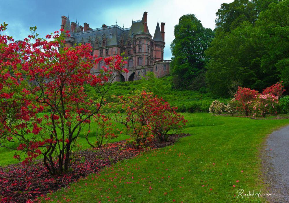 Le domaine de Trévarez avec sa saison des rhododendrons