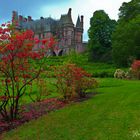 Le domaine de Trévarez avec sa saison des rhododendrons