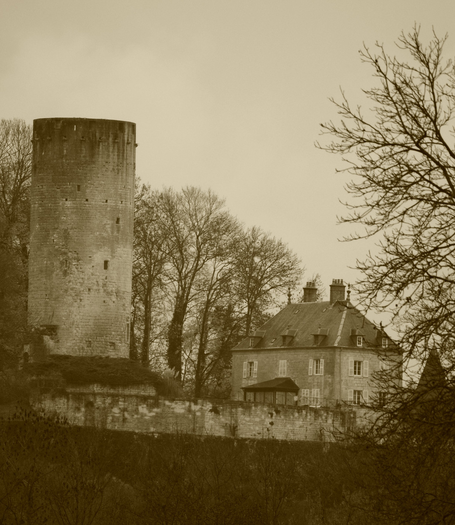 Le Donjon de Rupt sur Saône ( Haute Saône )