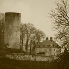 Le Donjon de Rupt sur Saône ( Haute Saône )