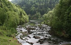 Le Doubs bei   "La Rasse"