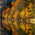 .....Le Doubs et ses reflets....