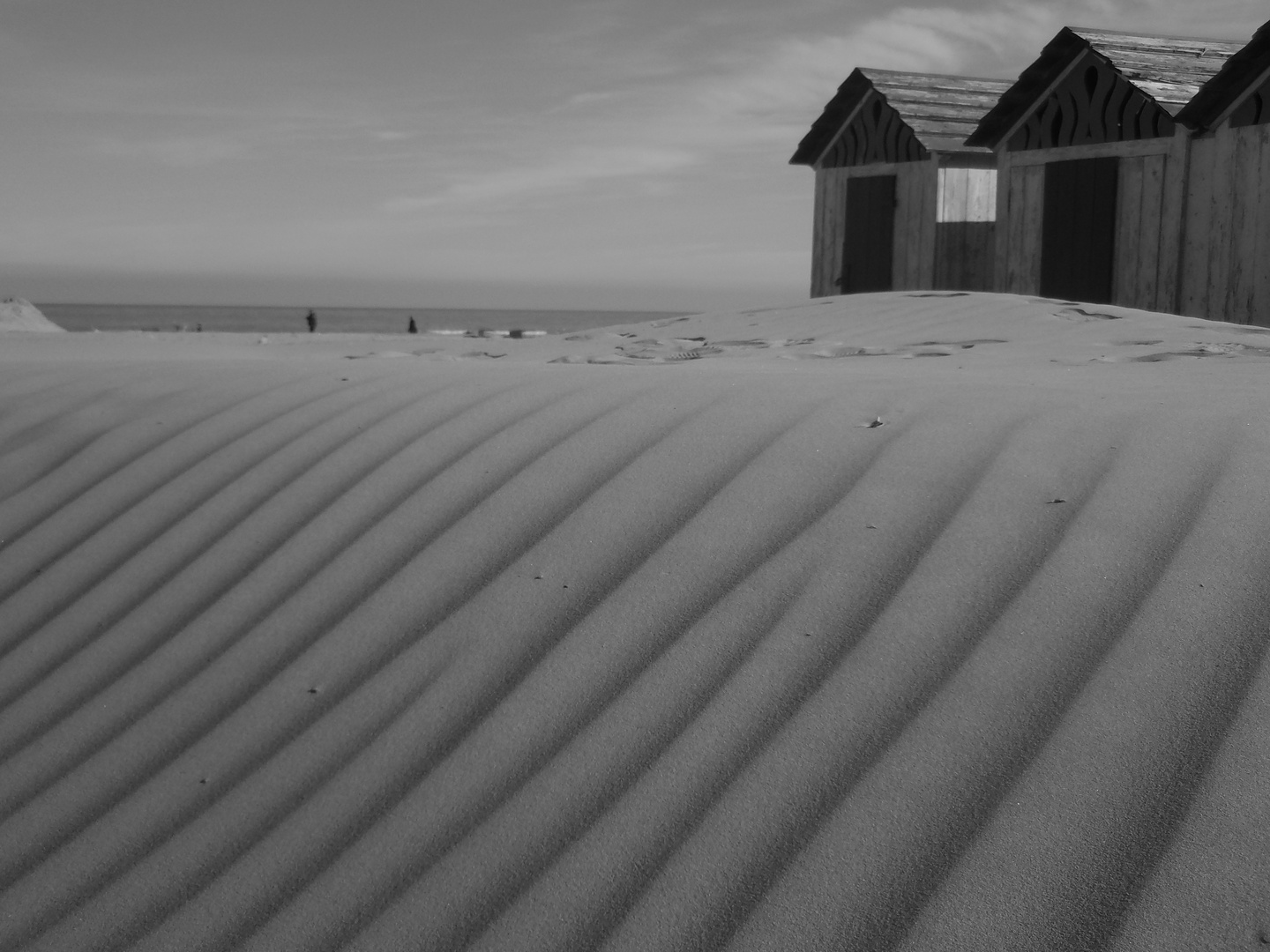 Le dune della spiaggia