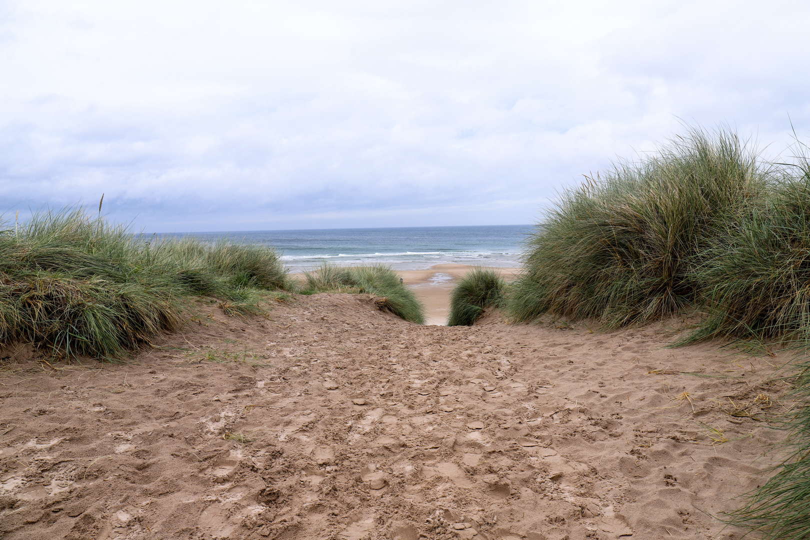 Le dune di Bamburgh Castle