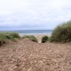 Le dune di Bamburgh Castle