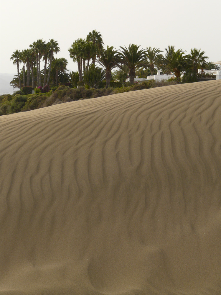 le dune di Maspalomas 2