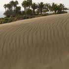 le dune di Maspalomas 2
