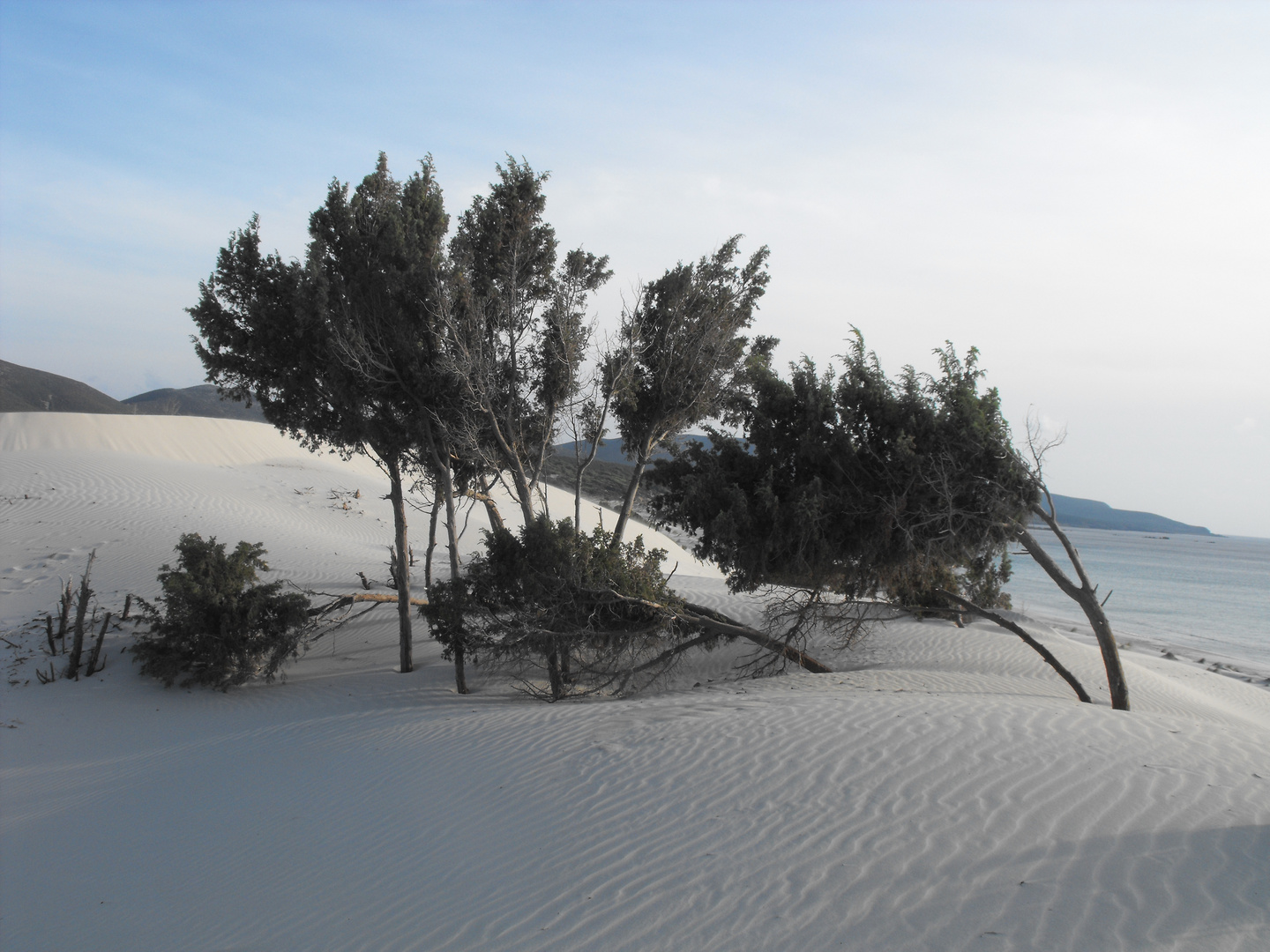 le dune di porto pino