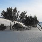 le dune di porto pino