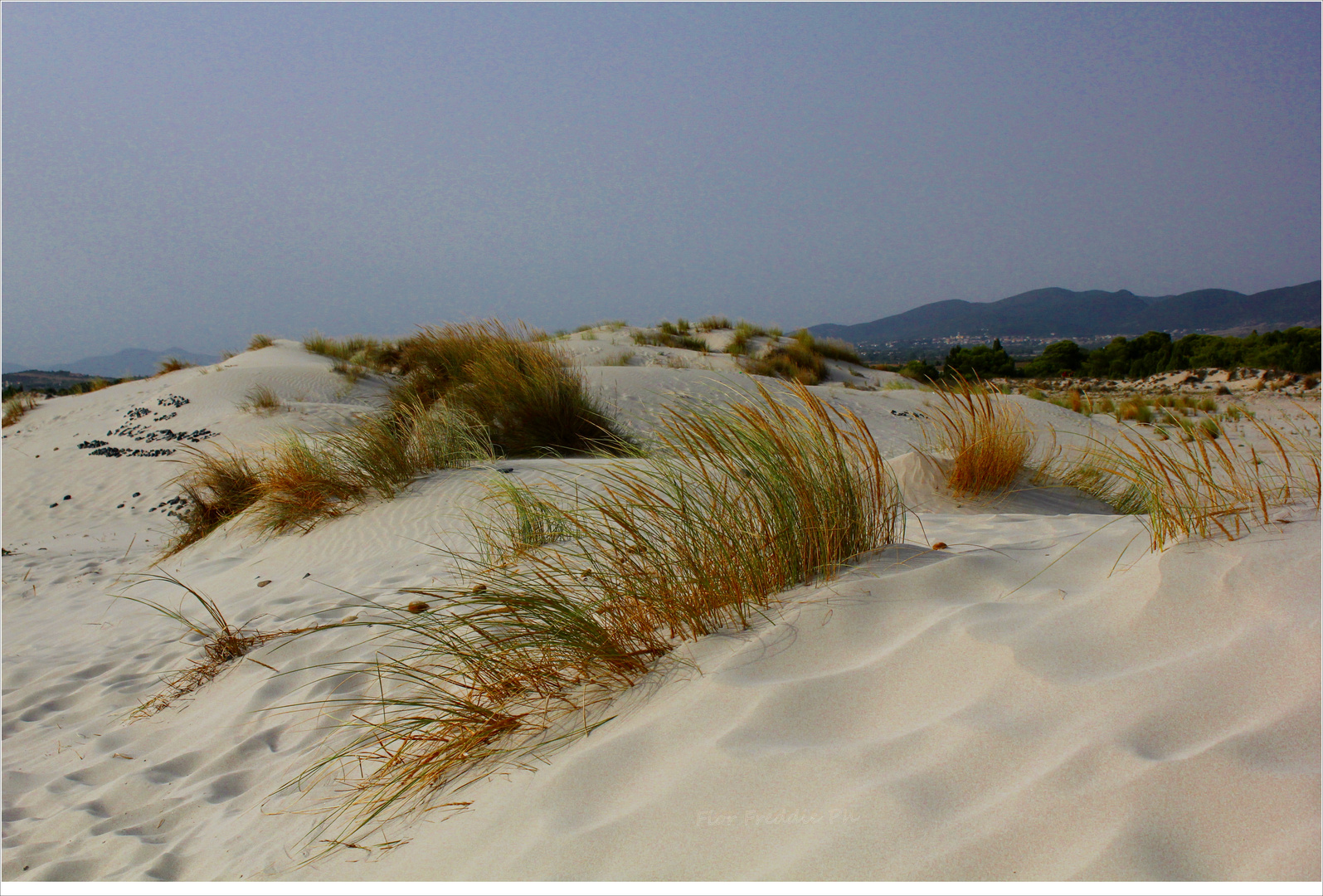 Le dune di Porto Pino