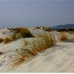 Le dune di Porto Pino