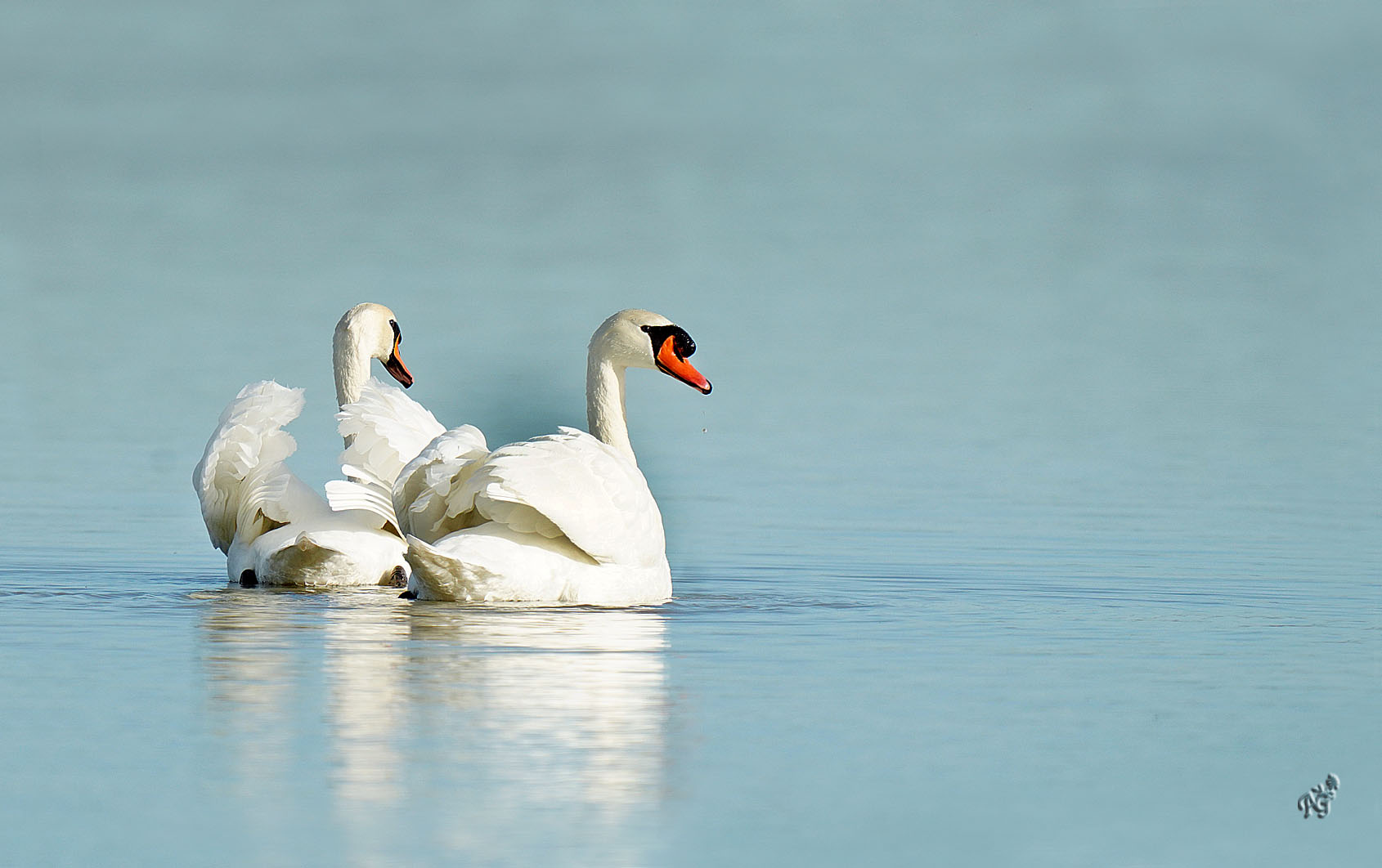 le duo au fil de l'eau...