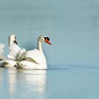 le duo au fil de l'eau...