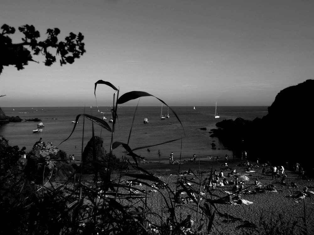 île d'yeu plage des sous