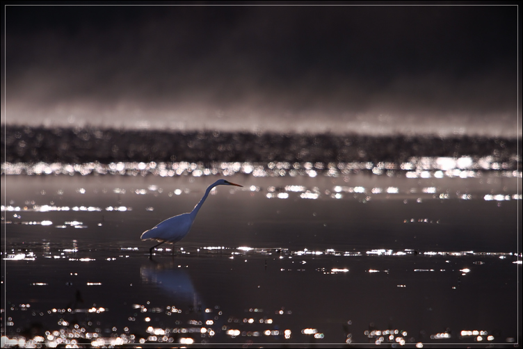 Le faiseur de Brume..