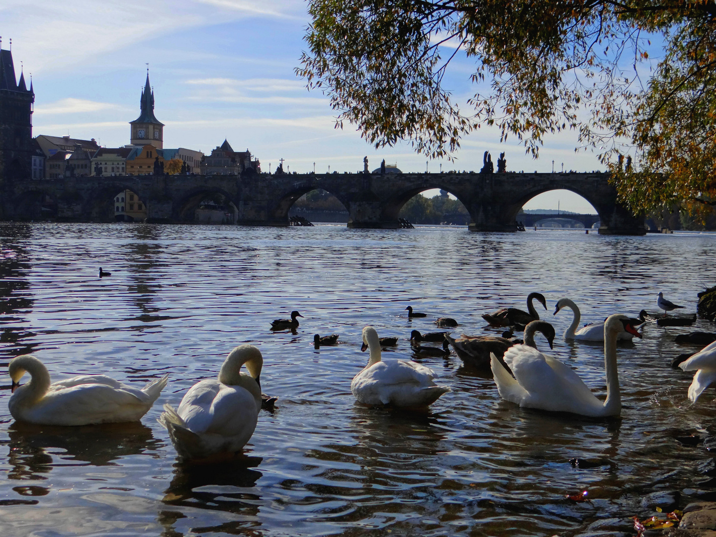 Le fameux pont, Prague