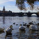 Le fameux pont, Prague