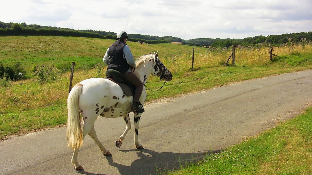 le-fer-a-cheval-porte-bonheur- Atelier R -17-2016