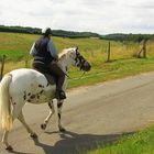 le-fer-a-cheval-porte-bonheur- Atelier R -17-2016