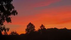 le feu du ciel Limousin