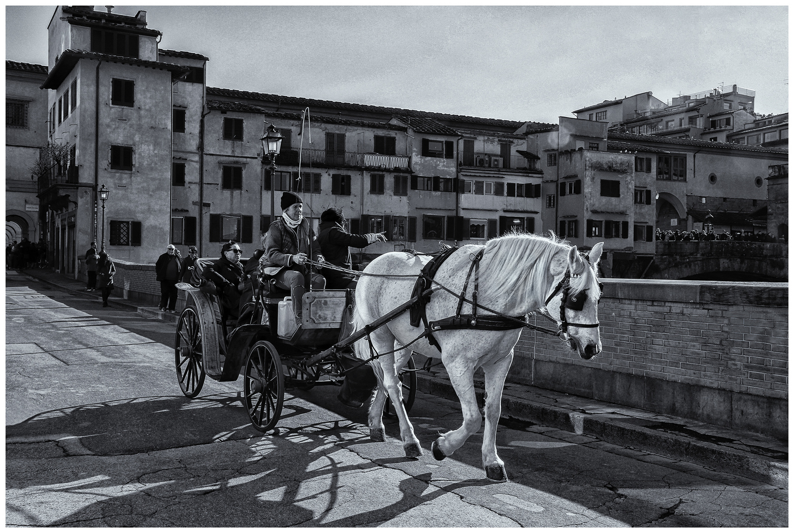 "Le fiacre du cheval blanc"