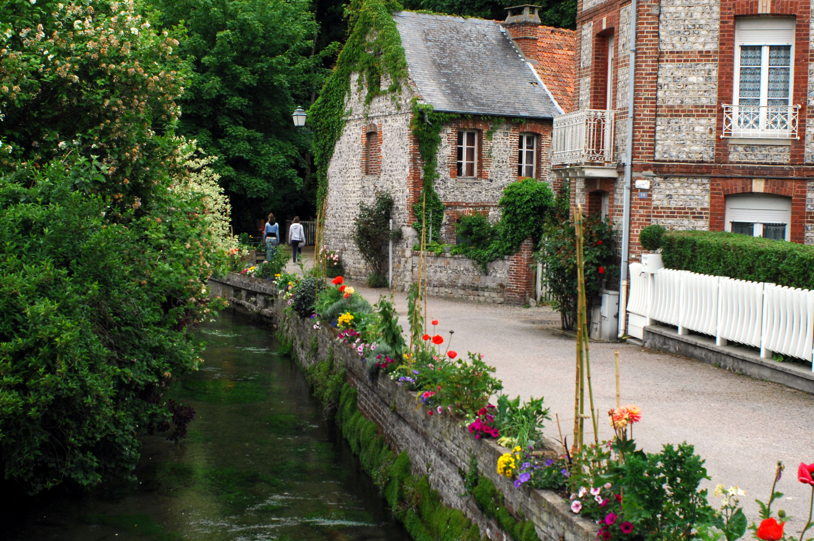 le fleuve et ses parroies fleuries file vers le moulin !