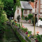 le fleuve et ses parroies fleuries file vers le moulin !