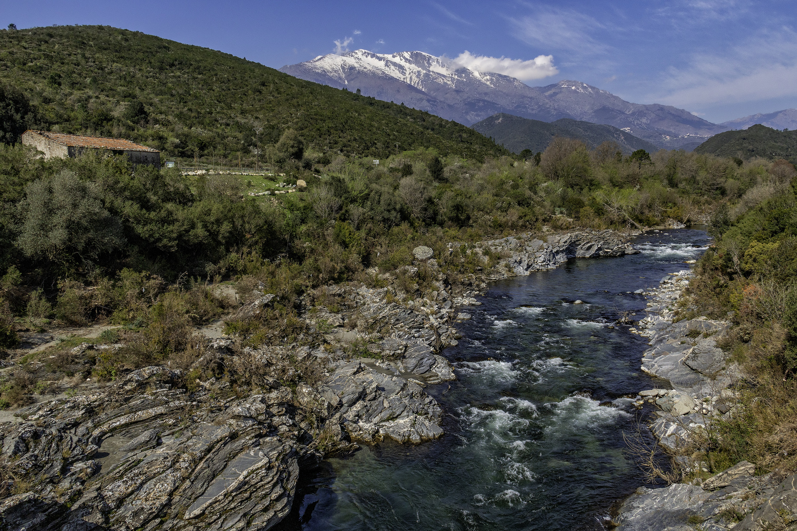 Le fleuve Tavignano