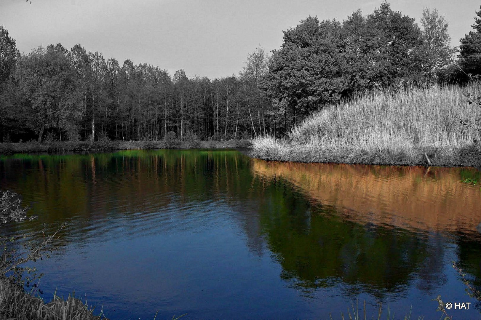 Le fort de Kessel (Flandre-Belgique)