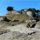 le fort de l'anse Du Guesclin