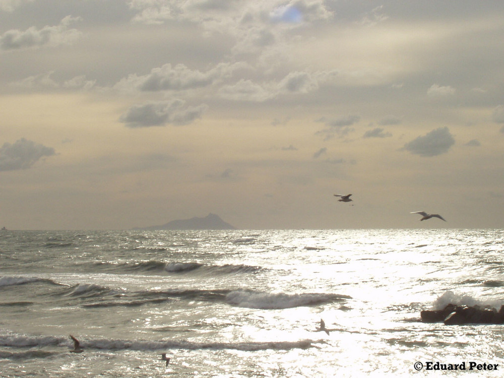 Le foto di Nettuno 4