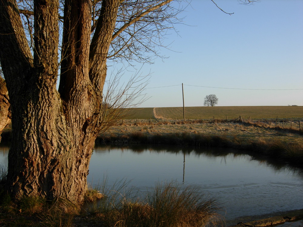 Le froid de l'hiver