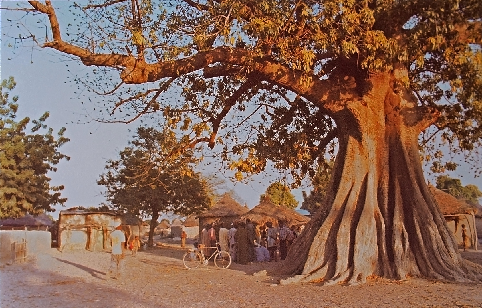 Le fromager d’un village malien