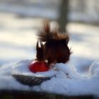 Le fruit défendu ?