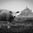 ~ Le garde du Mont-Saint-Michel ~