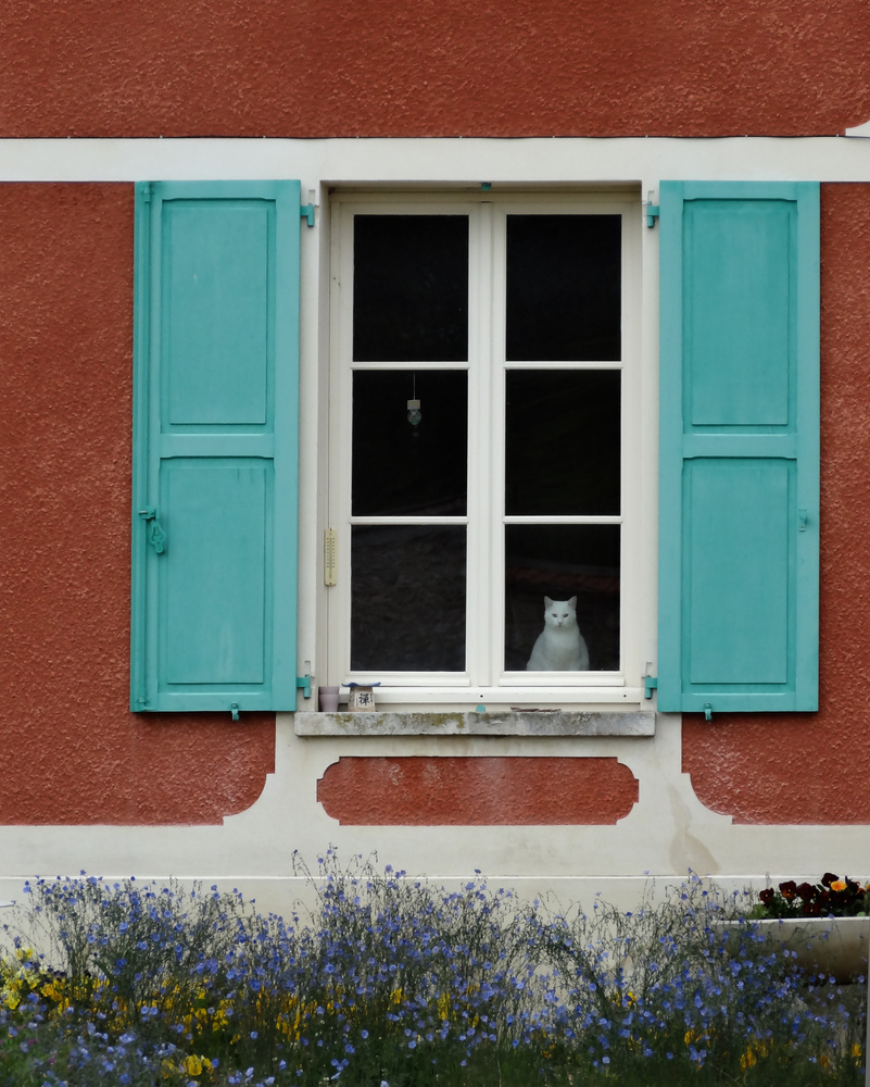 le gardien de la maison