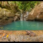 Le gardien du Bassin Bleu