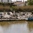 Le gardien du cimetière