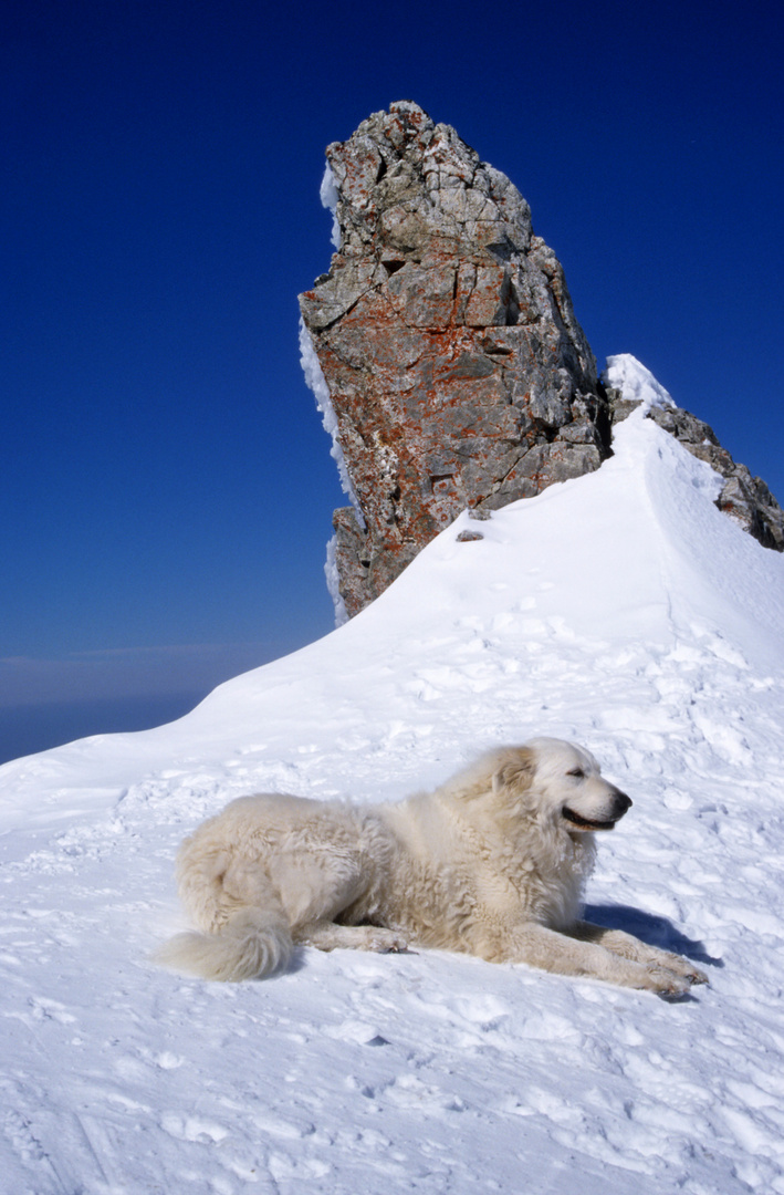 Le gardien du col ...