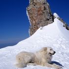 Le gardien du col ...