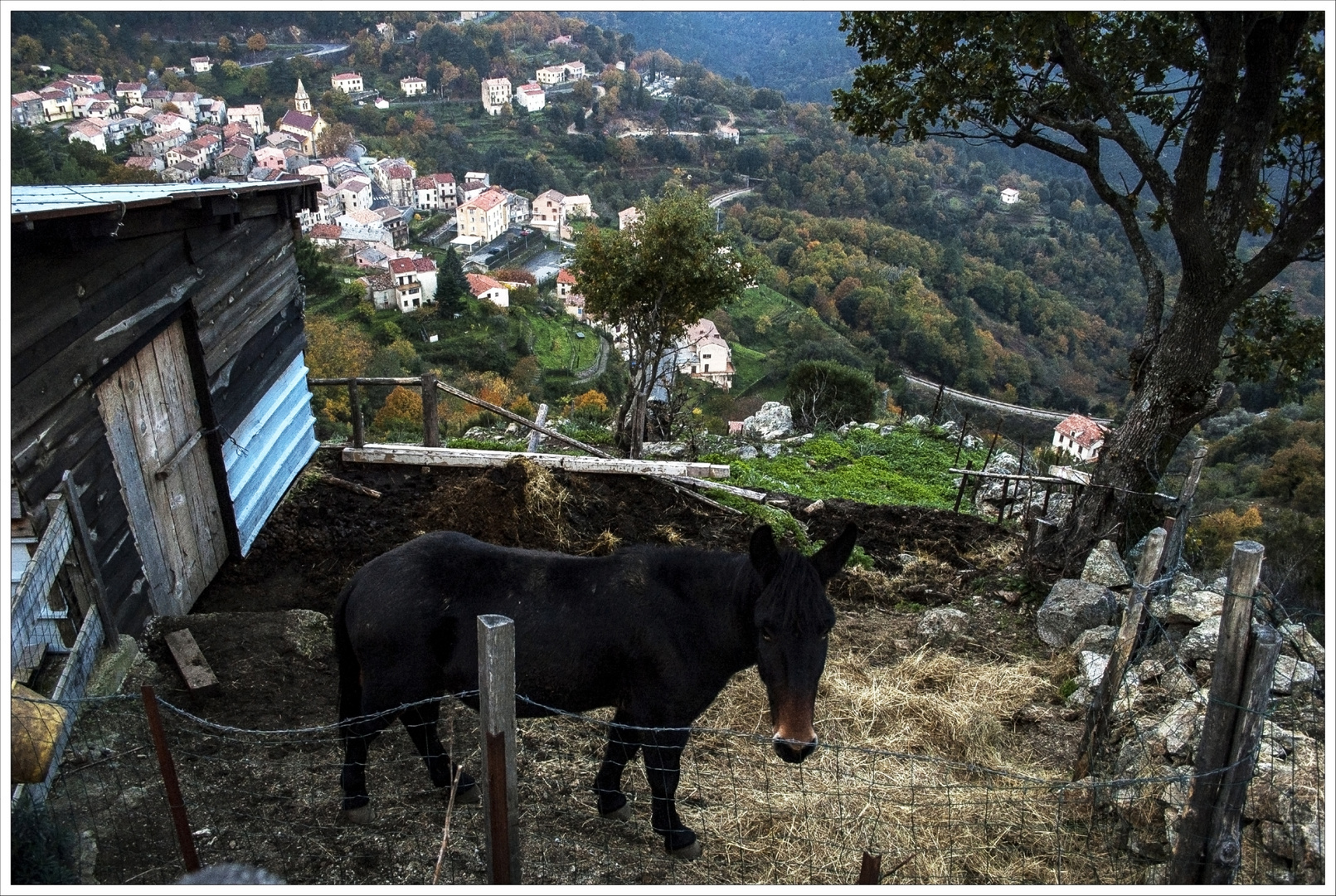 Le Gardien du Village