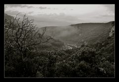 - Le Gardon nach dem großen Regen -