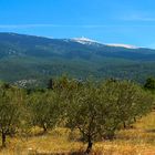 Le Géant de Provence