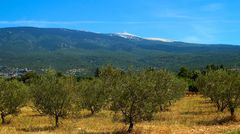 Le Géant de Provence