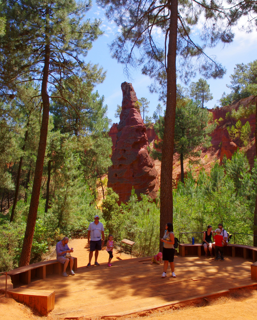 Le géant des bois