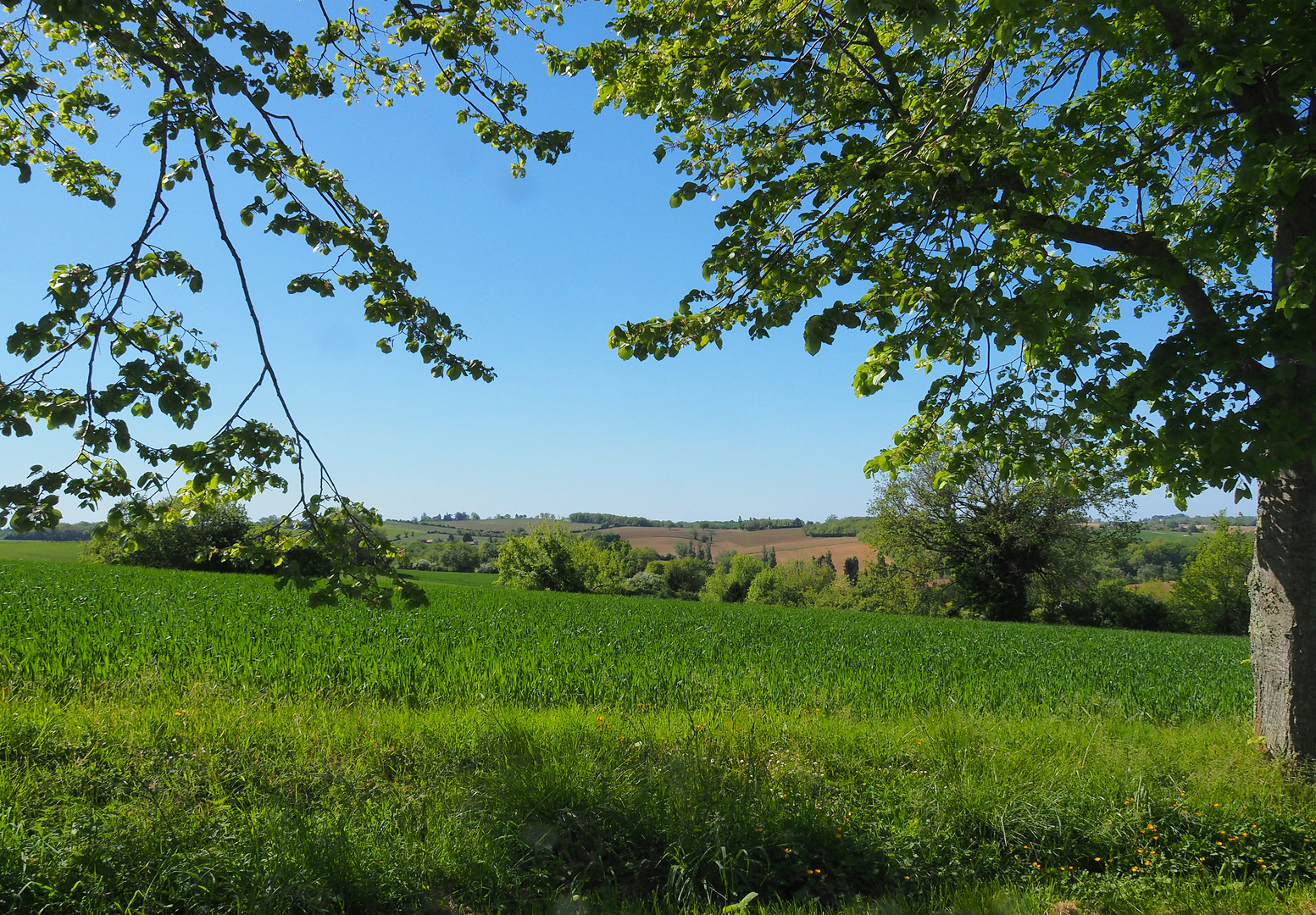 Le Gers en vert